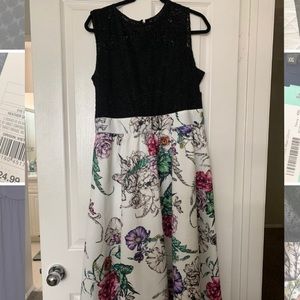 NWT NY&Company Lace Floral Garden Dress